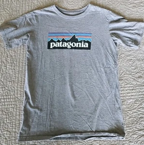 Patagonia Gray T-shirt Youth XXL 16-18 Adult XS/S Graphic Tee - Picture 1 of 4