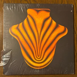 Big Red Machine SELBSTBETITELT Debütalbum + MP3s GATEFOLD Jagjaguwar NEU VINYL LP - Bild 1 von 2