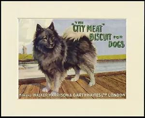 KEESHOND LOVELY DOG FOOD ADVERT PRINT MOUNTED READY TO FRAME - Foto 1 di 1