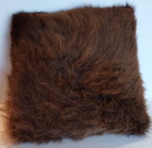 REAL Buffalo/Bison Fur & Hide Pillow,  Merlin's Hideout, Wy 20"X20" Wild Life