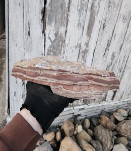 Ohio Sandstone Ledge Aquarium Stone 6.7 lbs Lapidary Decorative Rock - Picture 1 of 6
