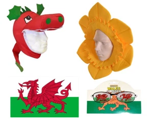 WELSH DAFFODIL HAT DRAGON HAT FLAG NOVELTY GLASSES RUGBY SUPPORTER NOVELTY HATS - Picture 1 of 6