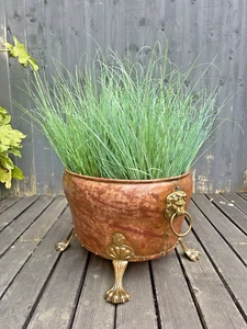 LARGE ANTIQUE COPPER & BRASS LIONS HEAD PAW FEET RIVETED LOG COAL BUCKET PLANTER - Picture 1 of 15