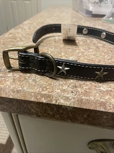Auburn Leathercrafters Gold Studded Dog Collar 22 Leather Made in USA READ - Picture 1 of 6