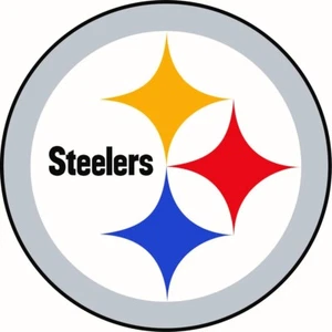 NIP 62619 NFL Pittsburgh Steelers Large Decal Sticker 6"D - Picture 1 of 2