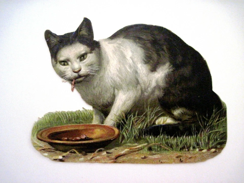 Интересный винтажный кот высеченный - выглядит как кошка ест сардину ужин * - Изображение 1 из 2