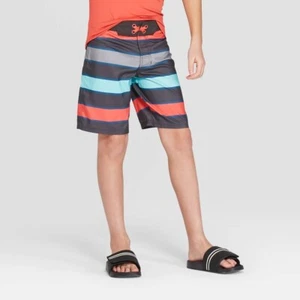 Boys' Pop Stripe Swim Trunks - art class, Sz16 - Picture 1 of 9