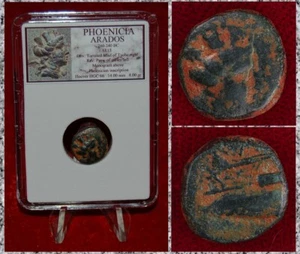 Moneda Antigua FENICIA ARADOS Tyche y Galera Bronce - Imagen 1 de 4