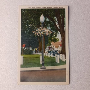 Laternenmast Blumenkeller Camden Maine verschickt 1949 weißer Rand Postkarte - Bild 1 von 9