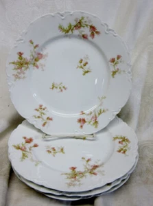 4 Haviland Limoges SCHLEIGER 41 Pink DAISY & THISTLE LUNCHEON PLATES 8 5/8" - Picture 1 of 3
