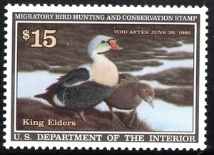 US Stamp Scott #RW58, $15, 1991 Federal Duck Hunting Stamp, MNH, SCV$30.00 - Picture 1 of 1