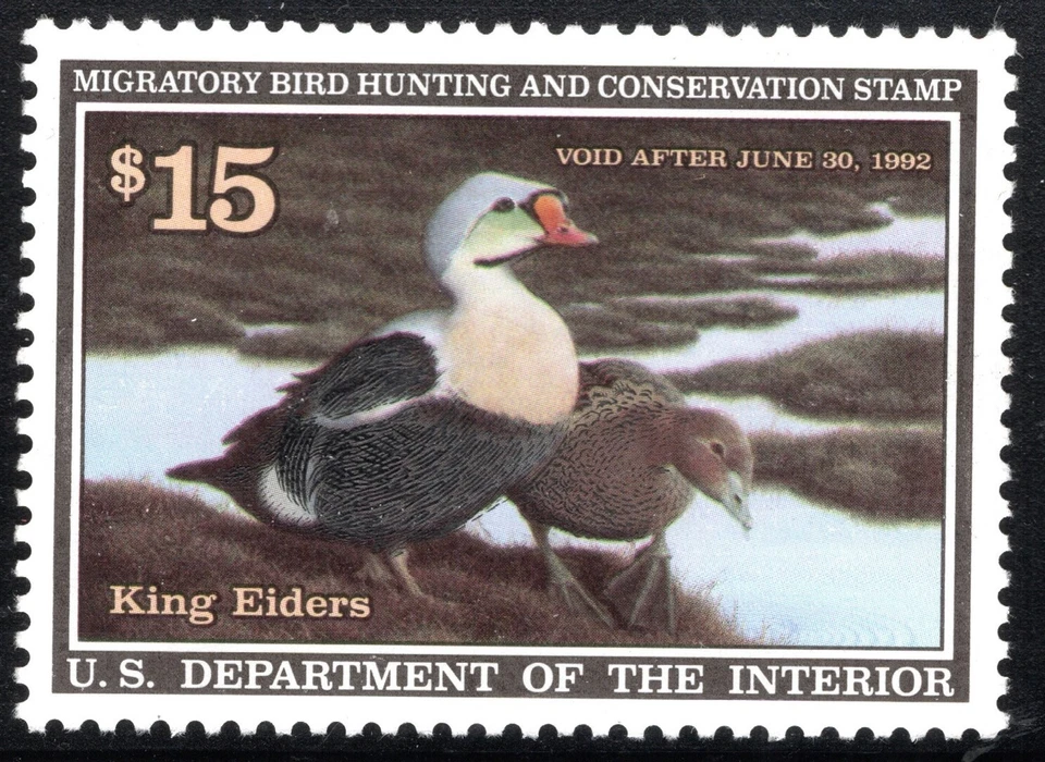 US Stamp Scott #RW58, $15, 1991 Federal Duck Hunting Stamp, MNH, SCV$30.00 - Image 1 of 1