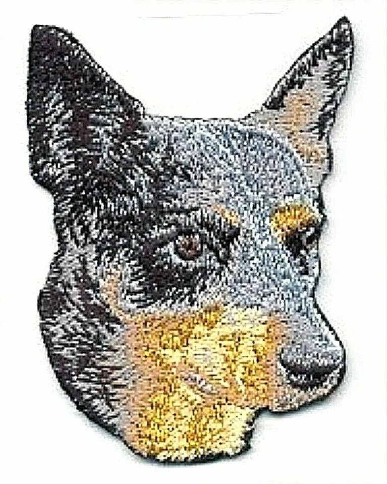 Australian Cattle Dog Patch Head Embroidery Iron on - Image 1 of 1
