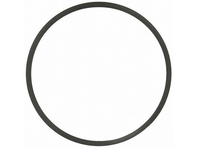 Junta tórica termostato Felpro 19243SYPM 2001 2002 para Ford F250 Super Duty 1999-2003 Foto 1 de 2