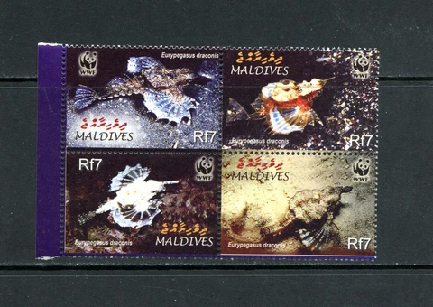 Q928  Maldives   2004   WWF  fish marine  block   MNH Cover