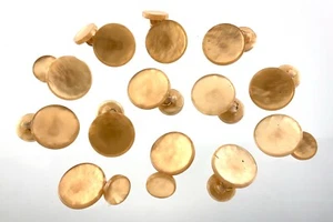 Vintage Molded Plastic Brown Garment Button .75in Set of 13 Marble Pattern 200B - Picture 1 of 8