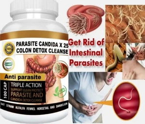 Colon Detox Cleanse Parasite Candida 100 Capsules Natural Herbal Supplement - Picture 1 of 10