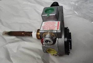Termostato calentador de agua a gas doméstico Robert Shaw 220RTSP - Imagen 1 de 9