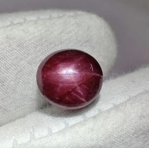 Natural Star Ruby Cabochon Loose Gemstone Oval Shape Star for Jewelry 8.4 Cts - Picture 1 of 7