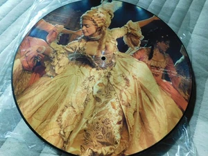 MADONNA  1992 12" 33 RPM RECORD PICTURE DISC SHINE A LIGHT/ON THE GROUND, LITTLE - Picture 1 of 2