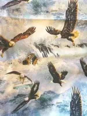 eagle bird of prey fun fabric animal print piece 20 by 20 inch new - Image 1 of 2
