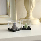 4pcs Mineral Display Boxes Clear Sample Display Storage Boxes