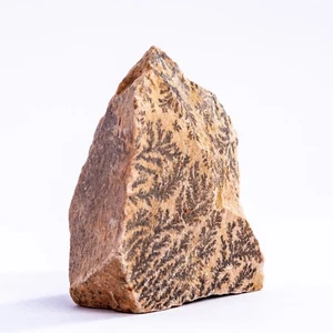 Mount Sinai Stone Burning Bush Mysterious Rock Jabal Mosa Mountain Egypt Rare - Picture 1 of 8