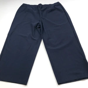 Eileen Fisher Crepe Pull On Plus 2X (Fit 39W 24L) High Rise Viscose Pants Blue - Picture 1 of 9