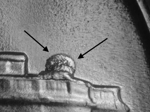 1942 S Large Die Break On Roof Error  BU Uncirculated Silver Jefferson Nickel#2 Cover