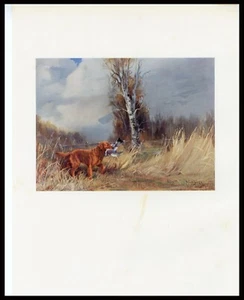 GOLDEN RETRIEVER RARE OLD ANTIQUE BOOKPLATE DOG PRINT Artist REUBEN WARD BINKS - Picture 1 of 1