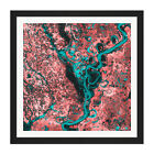 Abstract Teal Red Veins Rivers Square Framed Wall Art 16X16 In