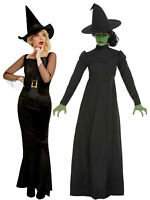 Halloween Wicked Witch Toddlers Fancy Dress Dressing up Costume H18