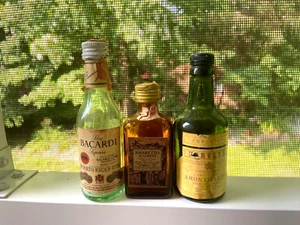 3 Vintage  Airplane 1/10pt Bacardi Harveys Amaretto  Loreto BRANIFF Empty Bottle - Picture 1 of 5