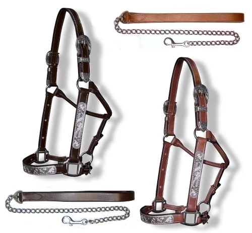 Show Halfter mit Silberbeschlag Western Showhalfter Showmanship Halter - Bild 1 von 1