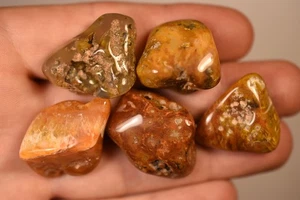 5 *AUSTRALIAN AGATE & JASPER* Tumbled Stones 3cm 52.6g Natural, Lune River TAS - Bild 1 von 21