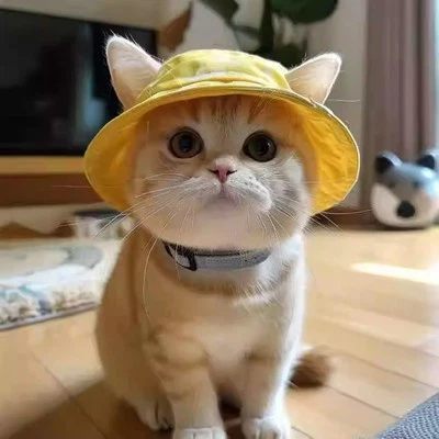 Cute Ear-Showing Pet Sun Hat: Summer UV Protection for Cats&Dogs-Fisherman Style - Image 1 of 4