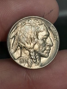 1937-P Buffalo Nickel BU #1 - Picture 1 of 4