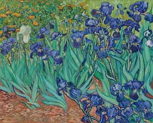 Irises by Vincent Van Gogh, Giclee Fine Art Print, 8 x 10 for Framing - Picture 1 of 3