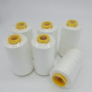 6 Spools Ivory #652 Sewing Machine Serger Thread Spools 6000 YDS/spool T27 S/2 - Picture 1 of 8