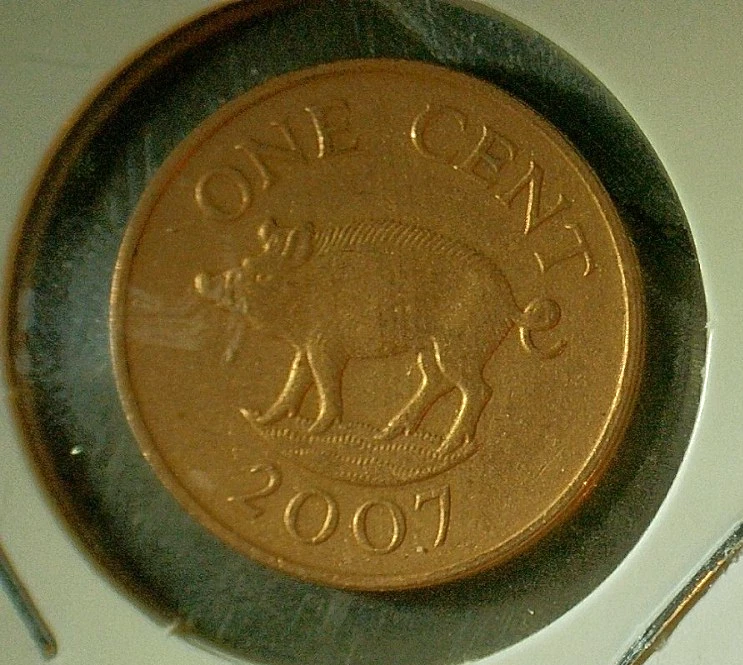 WORLD COIN SALE-2007 BERMUDA  1 CENT_COPPER PLATED ZINC COMPOSITION COIN-KM# 107 - Image 1 of 3