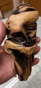 Unique Driftwood Ideal For Fish Tanks , Crafts , Home Decor - Picture 1 of 11