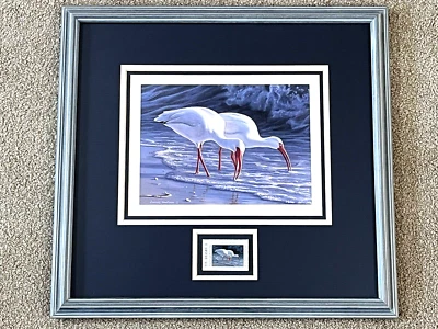 James Hautman Texas Wildlife Stamp White Ibis Signed Artist Proof 85/100 - Image 1 of 4