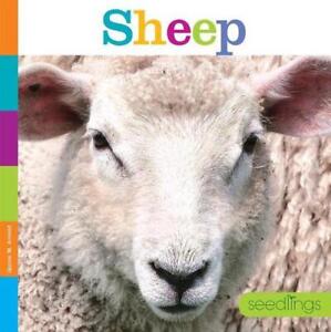 Seedlings: Sheep by Quinn M. Arnold (English) Paperback Book