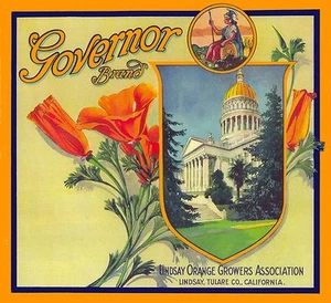Lindsay Governor California Poppies Naranja Fruta Caja Cítrica Estampado 2 - Imagen 1 de 1