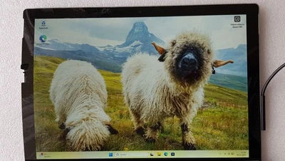Microsoft Surface Pro 5, i7-7660U, 16GB Ram, 1000GB SSD. - Bild 1 von 4