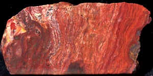 S455 ~ 6oz 3 Stück Jasperisiertes Holz - Bild 1 von 12