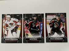 2015-16 Binghamton Senators AHL Team Set Nick Paul Chris Driedger Dzingel