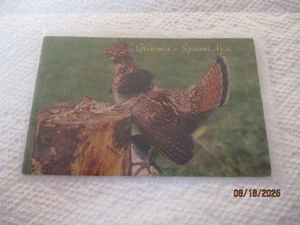 SPOONER, WIS - Greetings Postcard - Picture 1 of 2