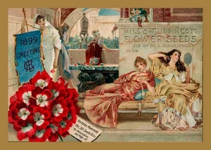 Lippencott Seeds Vintage Image Seed Catalog Art Print Pretty Women Label Art - Picture 1 of 1