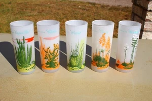 Blakely Oil & Gas Frosted Arizona Cactus Highball Tumblers Glasses 5 Pcs Set - Picture 1 of 12